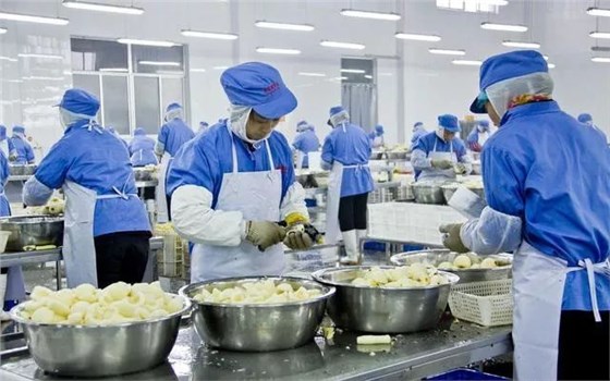 食品廠如何防制蚊蠅？北京滅蠅燈廠家為您支招