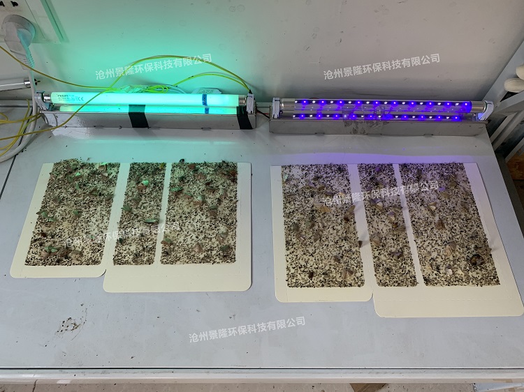 滅蠅燈廠家解答滅蠅燈是LED的好還是普通燈管